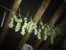 1F8338C1-FF34-4AEB-8524-42F6BFF74CFD