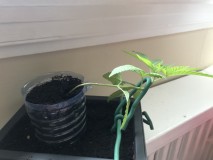 680560C0-7340-4308-9884-779F2FDE8A80