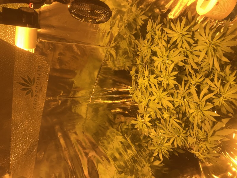 82318798-0256-4221-A490-1E61AF96BEBA