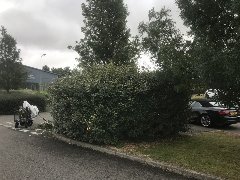 B6DAF97B-7CBA-436D-B1AA-09A67EA4F251