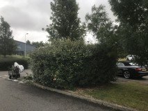 B6DAF97B-7CBA-436D-B1AA-09A67EA4F251