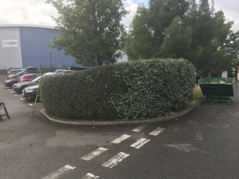 600D7759-7309-452D-AC55-BEBAA7AE1F03