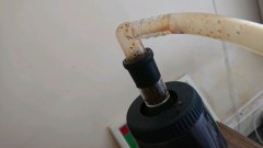 obscura1628261919094