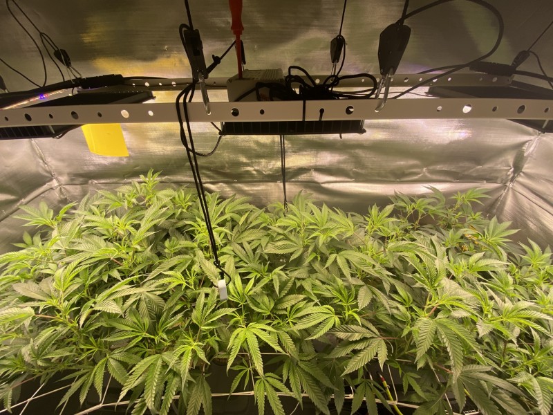 68028FFF-E4C4-44E1-A2AB-A3D36A4A2A8D