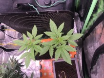 829A021F-C75C-4577-AD10-A28D32DC3103