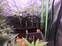 89A9B5E8-863E-4B2A-A9FF-D7BD49ACF0BB