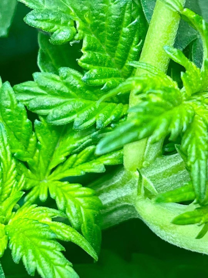 WeChat Image_20210807091303