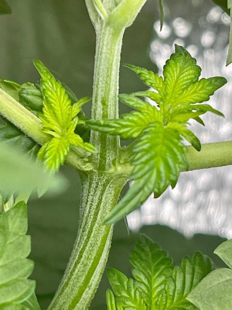 WeChat Image_20210807091309