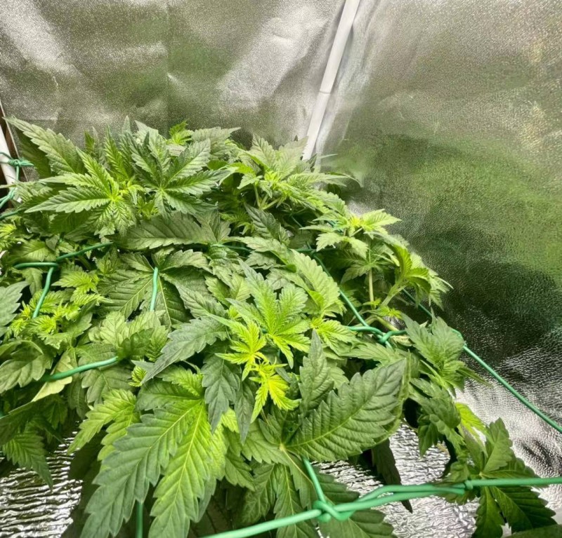 WeChat Image_20210807091342