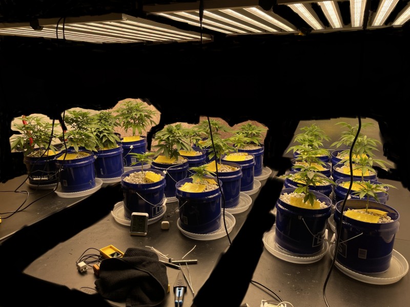 944789D1-E3C6-401B-98BE-241F2384CF94