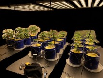 944789D1-E3C6-401B-98BE-241F2384CF94