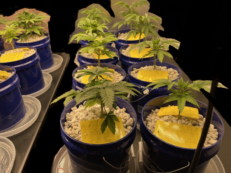 C45FE115-1ECF-4783-BF34-37B7A9B2295C