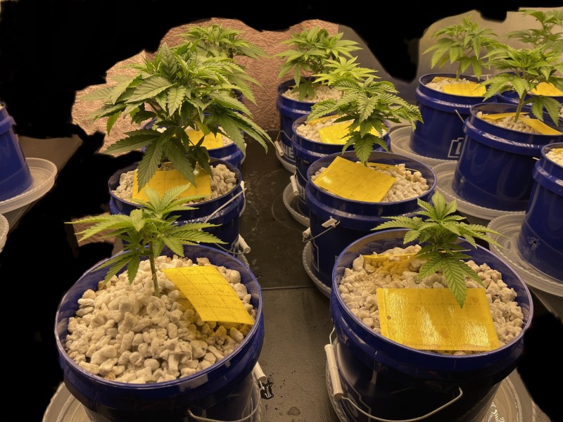 3BABBD6B-63AE-404D-B397-B8B66F2A40E1