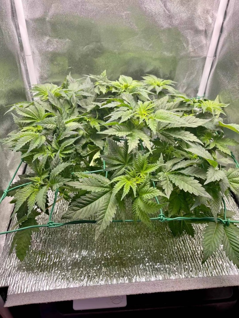 WeChat Image_20210809083709