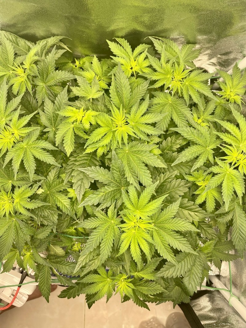 A4569933-3741-447F-A73C-1647314F7939