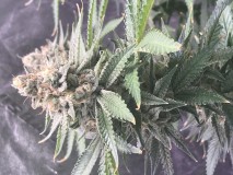 0936284E-8A3B-429B-9C66-559E81954E5E