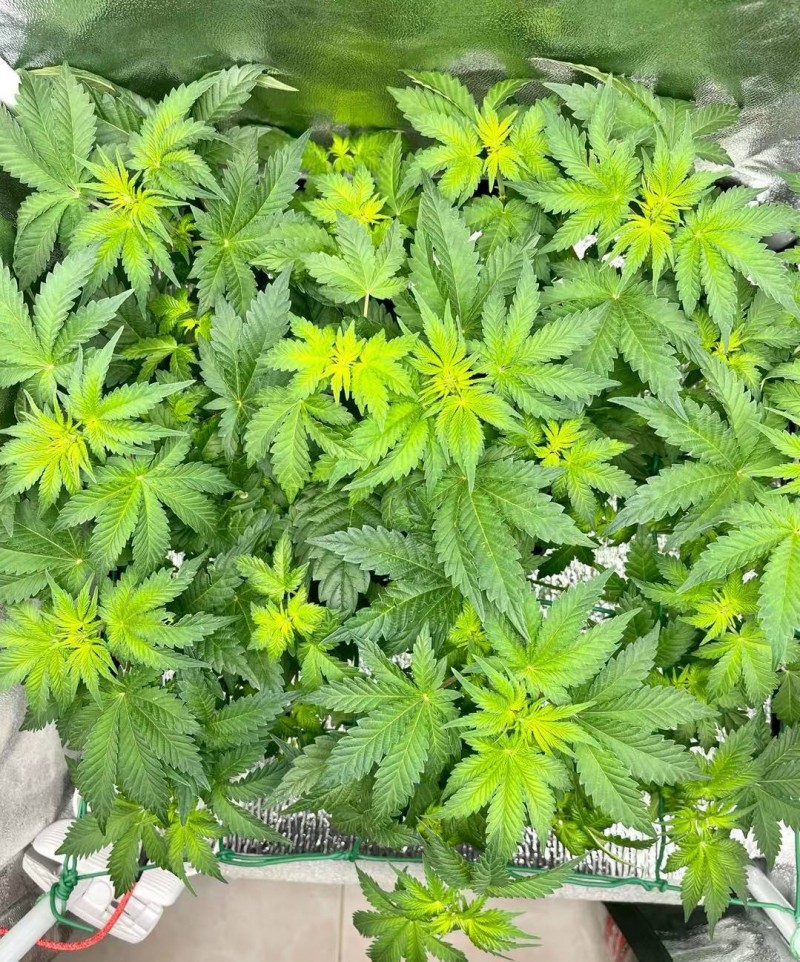 WeChat Image_20210812192459