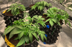 Ladies after their morning training and tucking 2021-08-12