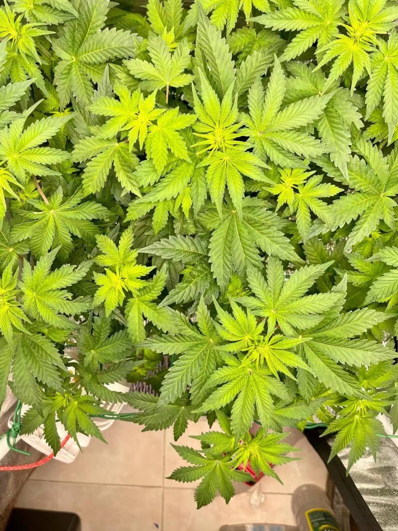 WeChat Image_20210813103231