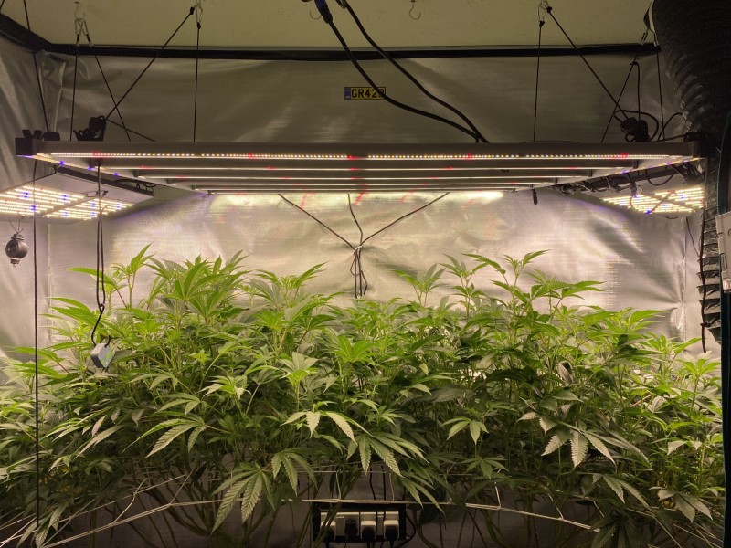 36EF275A-F51B-40FC-A0B7-0E2AEB61ED51