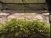 36EF275A-F51B-40FC-A0B7-0E2AEB61ED51