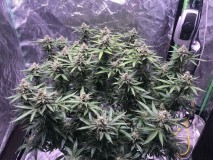 6E58AB5A-EADF-49DD-A28A-7879B1BD1076