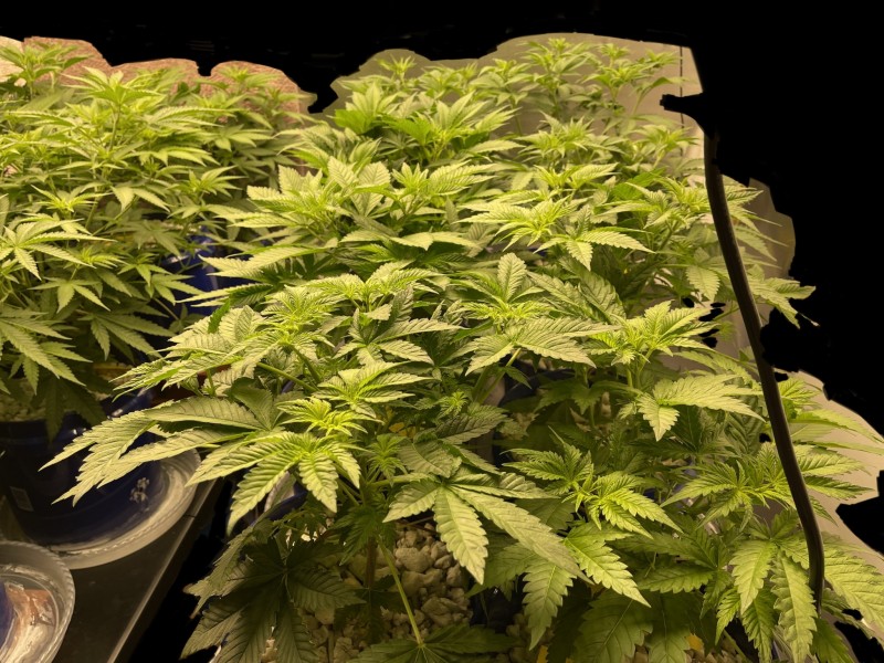 88C36F4E-6C66-4EC3-90F1-358E77365AC7