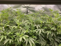 17016CBE-2279-4230-A3F2-4F7E9D5ACE57