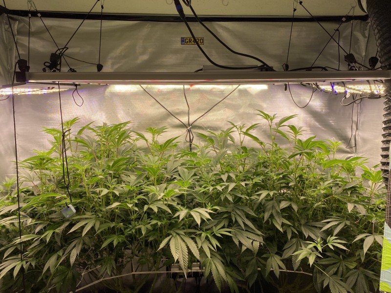 F228E4A7-B0C8-4319-A70A-5A63B97C3D01