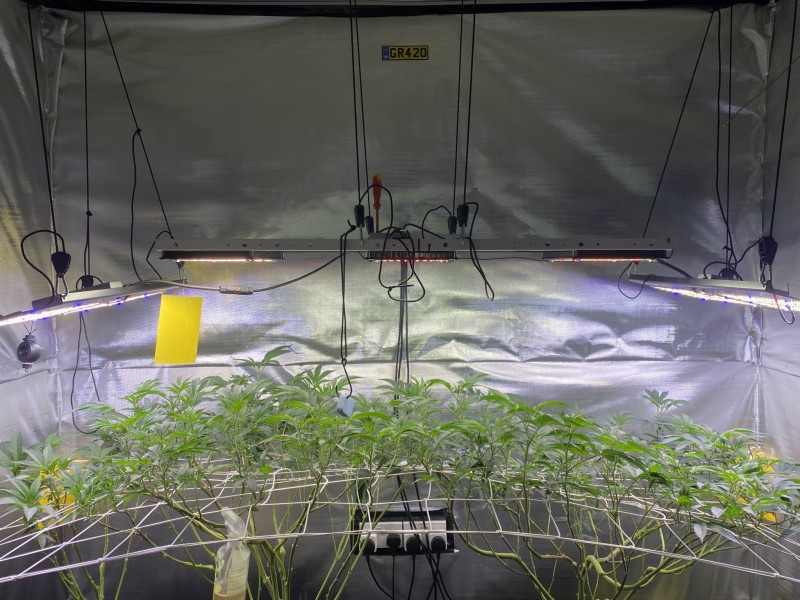 B3798BB3-9E60-4285-8836-6F18BC3EEA21