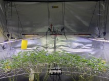 B3798BB3-9E60-4285-8836-6F18BC3EEA21