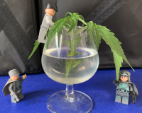 Captured! 2021-08-16