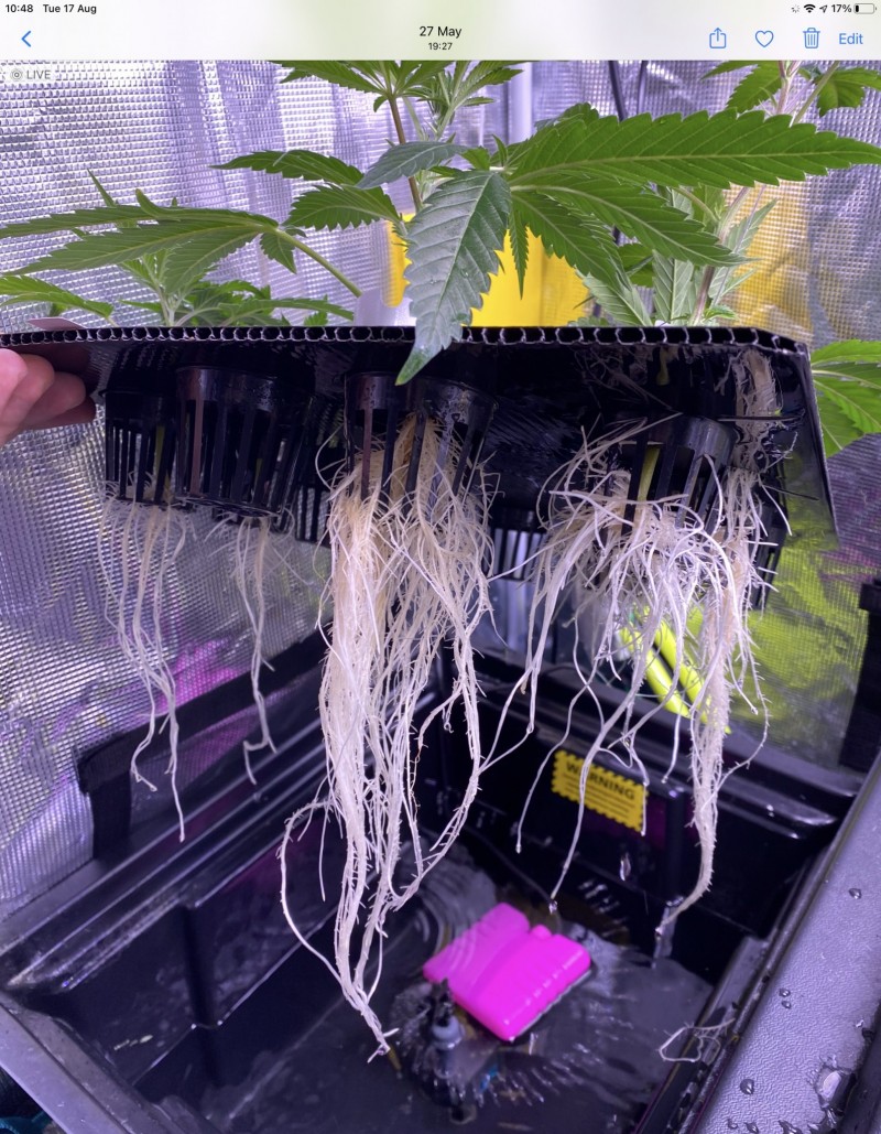 E072E4E1-C1BC-4626-980C-258B65E77AF9