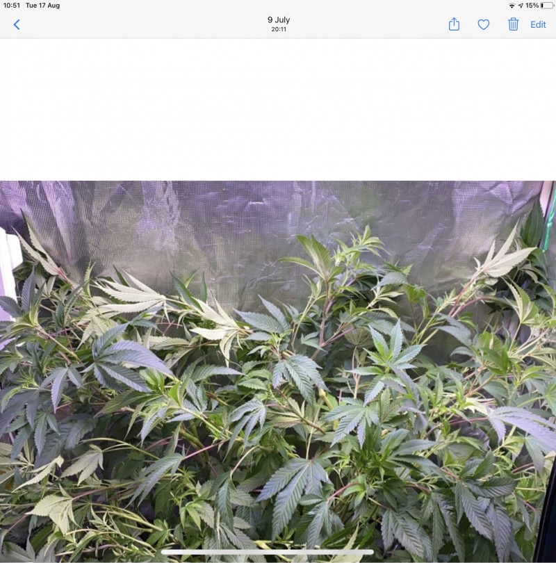 94460D61-6EBB-4DB5-92E9-D41DDD74A678