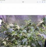 94460D61-6EBB-4DB5-92E9-D41DDD74A678