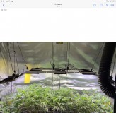 D95D0A92-04BB-4D8E-B59D-42CF6005D8FA