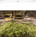 EB999B90-4107-4217-AA35-07D13DC0A295