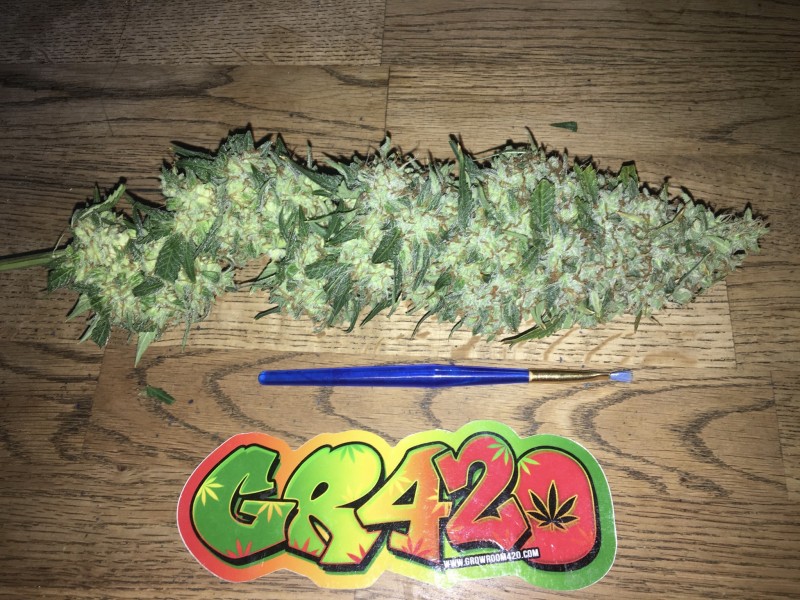 2077C92F-B676-483C-9427-E66798D8167C