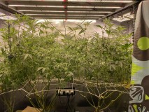 2CBD68DE-0A97-4979-AD88-74A941CCEAA8