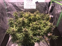 014FDFD9-B863-4E4D-B4EA-ABE4FB4D56CB