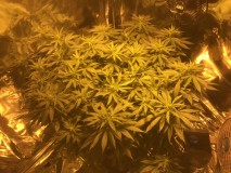 BFA8EA0C-2CE0-405E-817B-40EEEE74B369