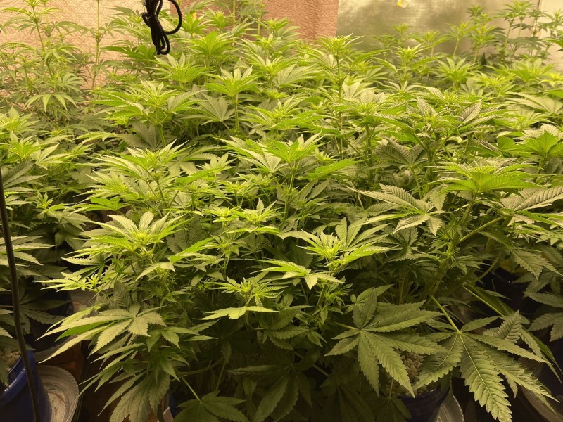 B394E836-294C-4C47-95E8-20F69DC5809A