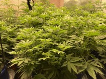 B394E836-294C-4C47-95E8-20F69DC5809A