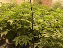 ADEA9446-EA69-4796-AADF-692B7D231F65