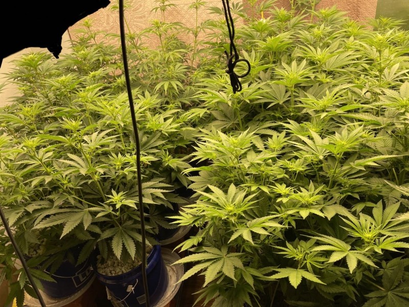 431B823B-F807-49AC-B20F-5FAC882F8538