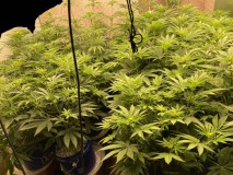 431B823B-F807-49AC-B20F-5FAC882F8538