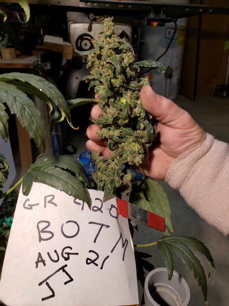 16296636625874790838567542488241