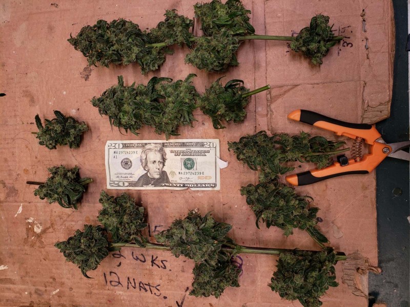 16296645557394916226386953062643