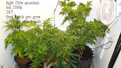 tangie vk cj 23 08 21 007