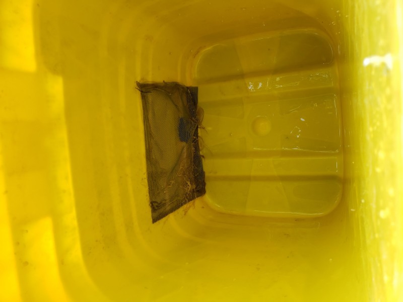 16298319501663961984644284623718